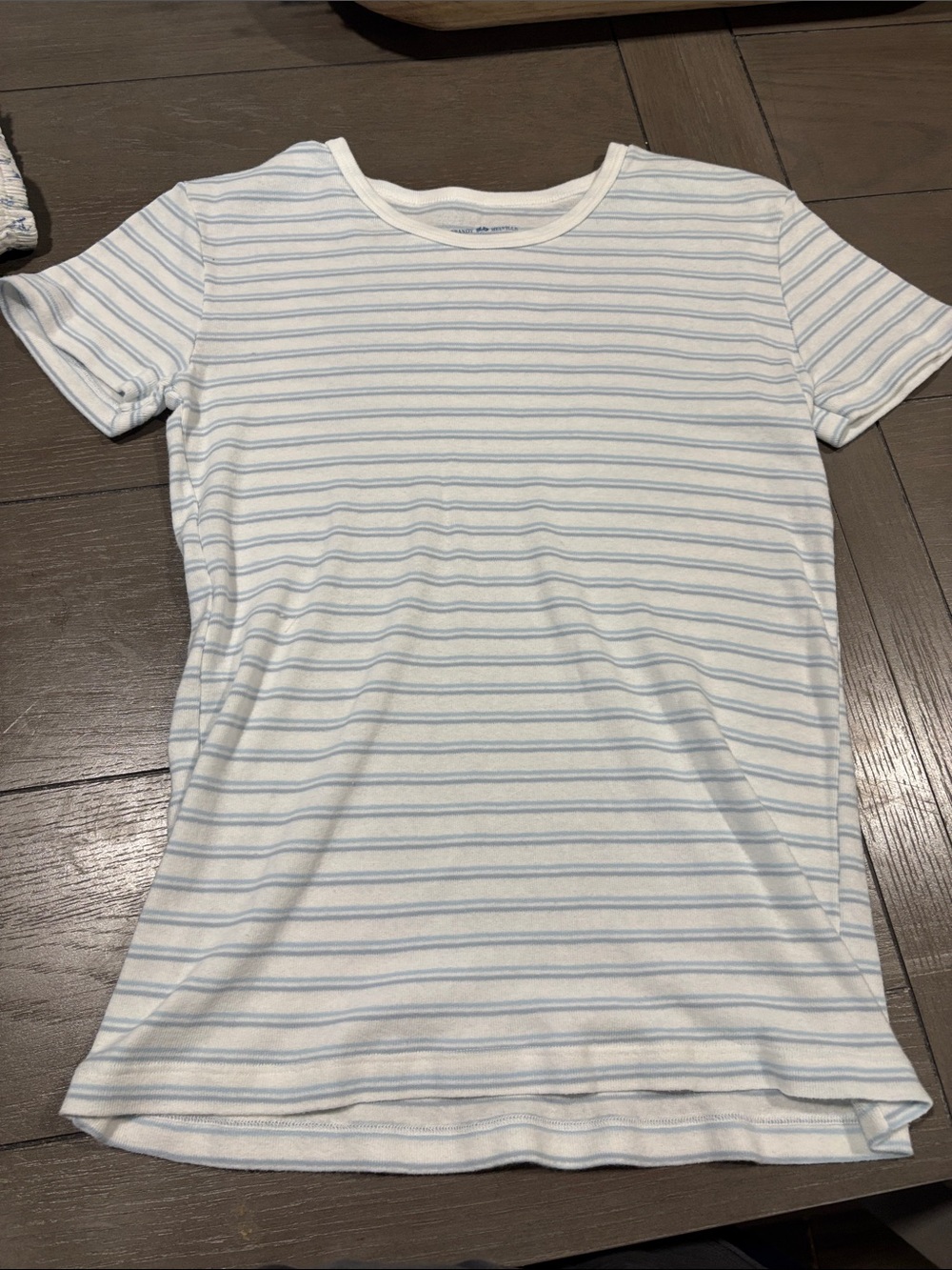 Brandy Melville White Tee with Light Blue Stripes